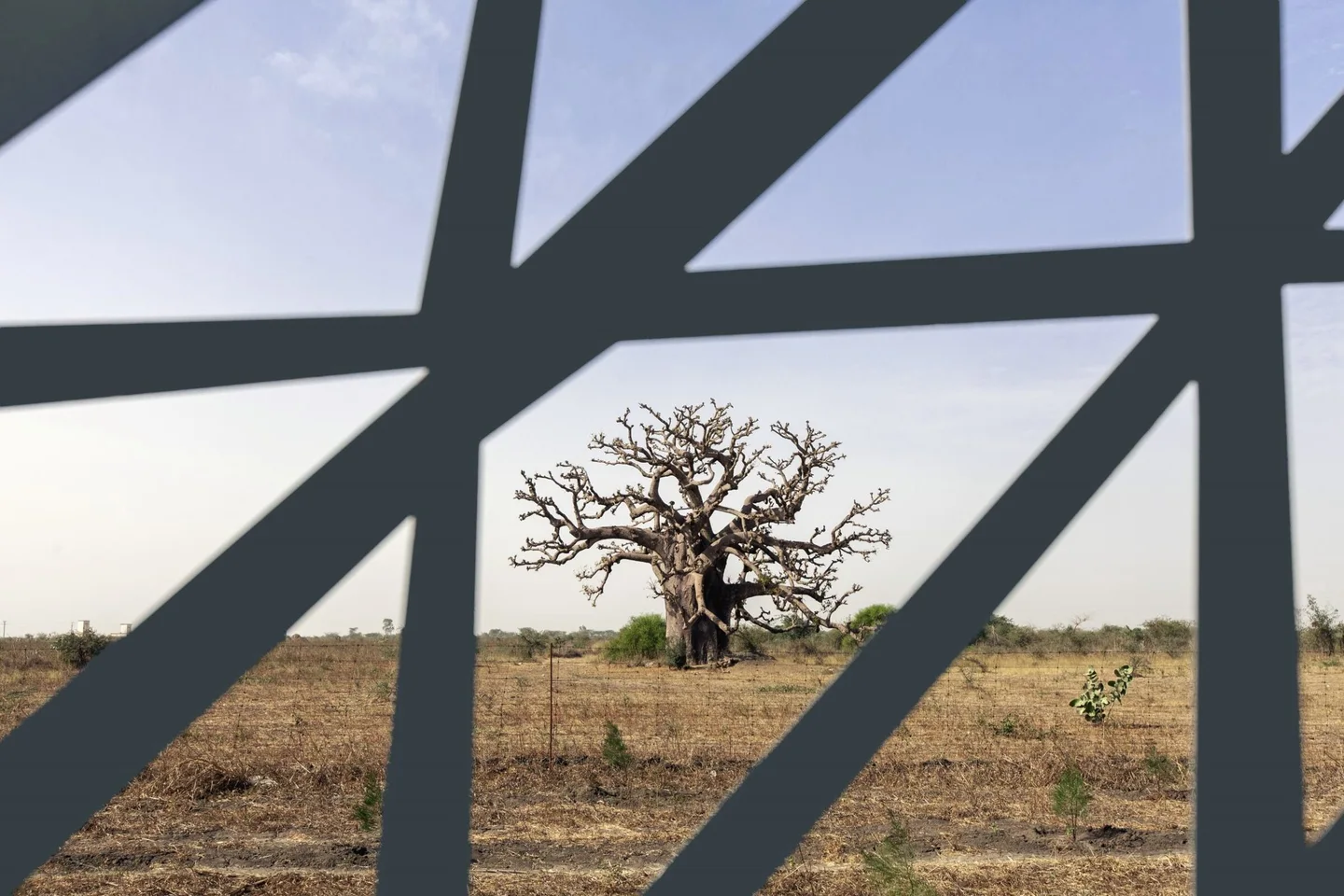 SENEGAL KONFERANS MERKEZİ, proje görseli 11
